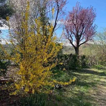 Casa Pelerin - Monteu Roero *