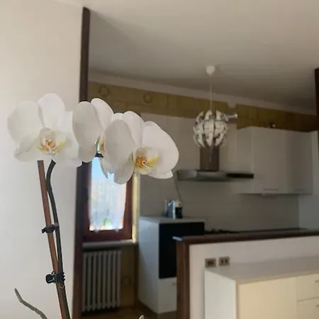 Casa Pelerin - Monteu Roero Santo Stefano Roero